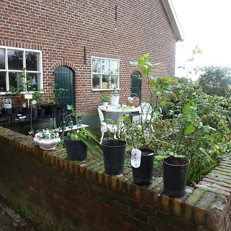 De Meesterbloem Varsselder
